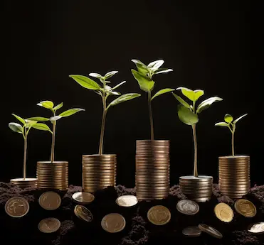 Leads and revenue grow SGS Alliance appointment setting service